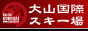 大山国際スキー場